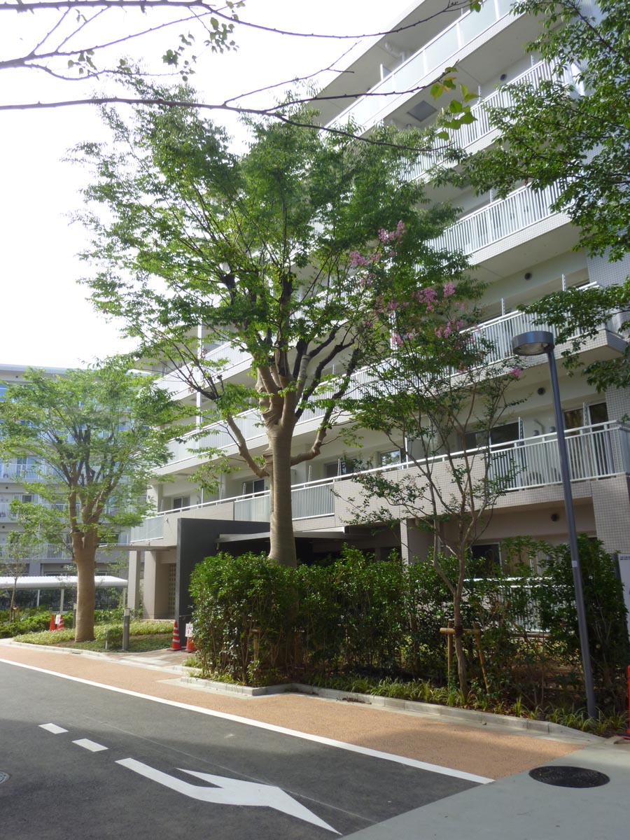 コーシャハイム向原
