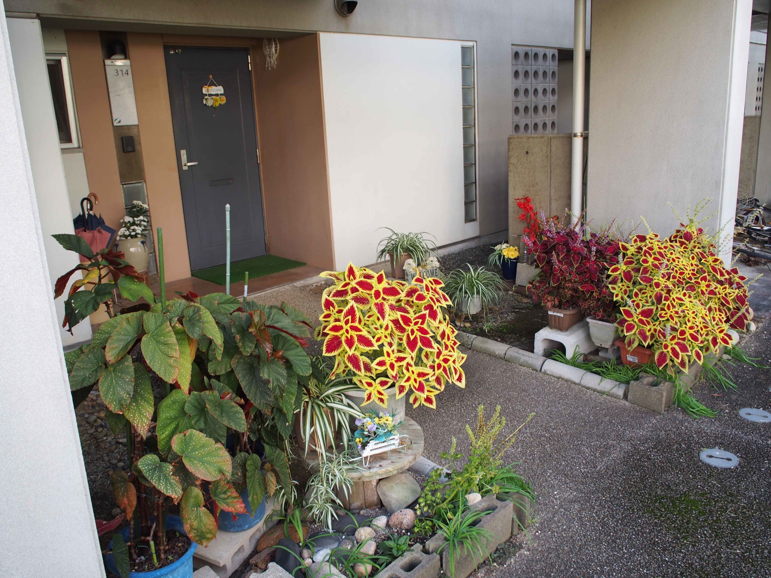 美東町営三本松団地