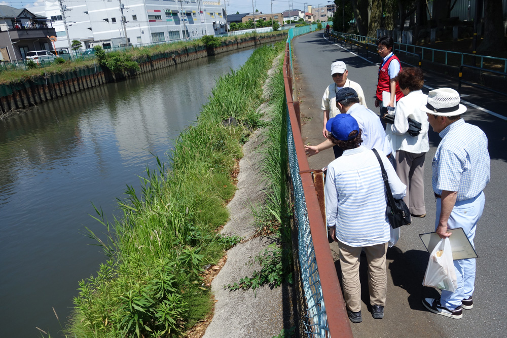 花畑団地周辺地区まちづくり支援