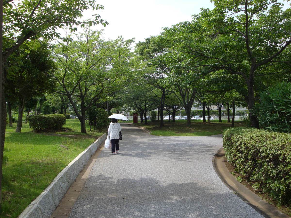 千葉幸町団地