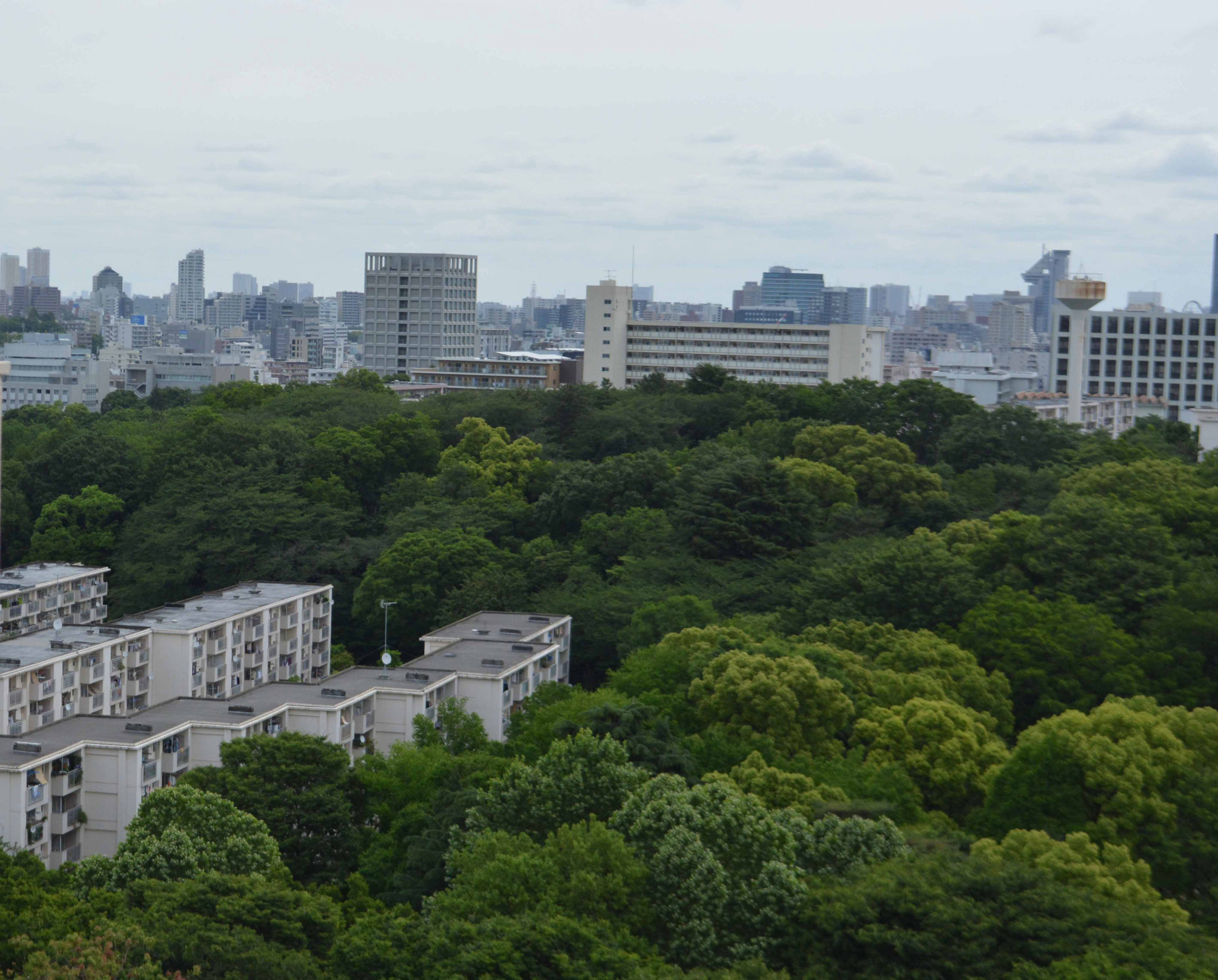 戸山ハイツ（都営住宅建替え）