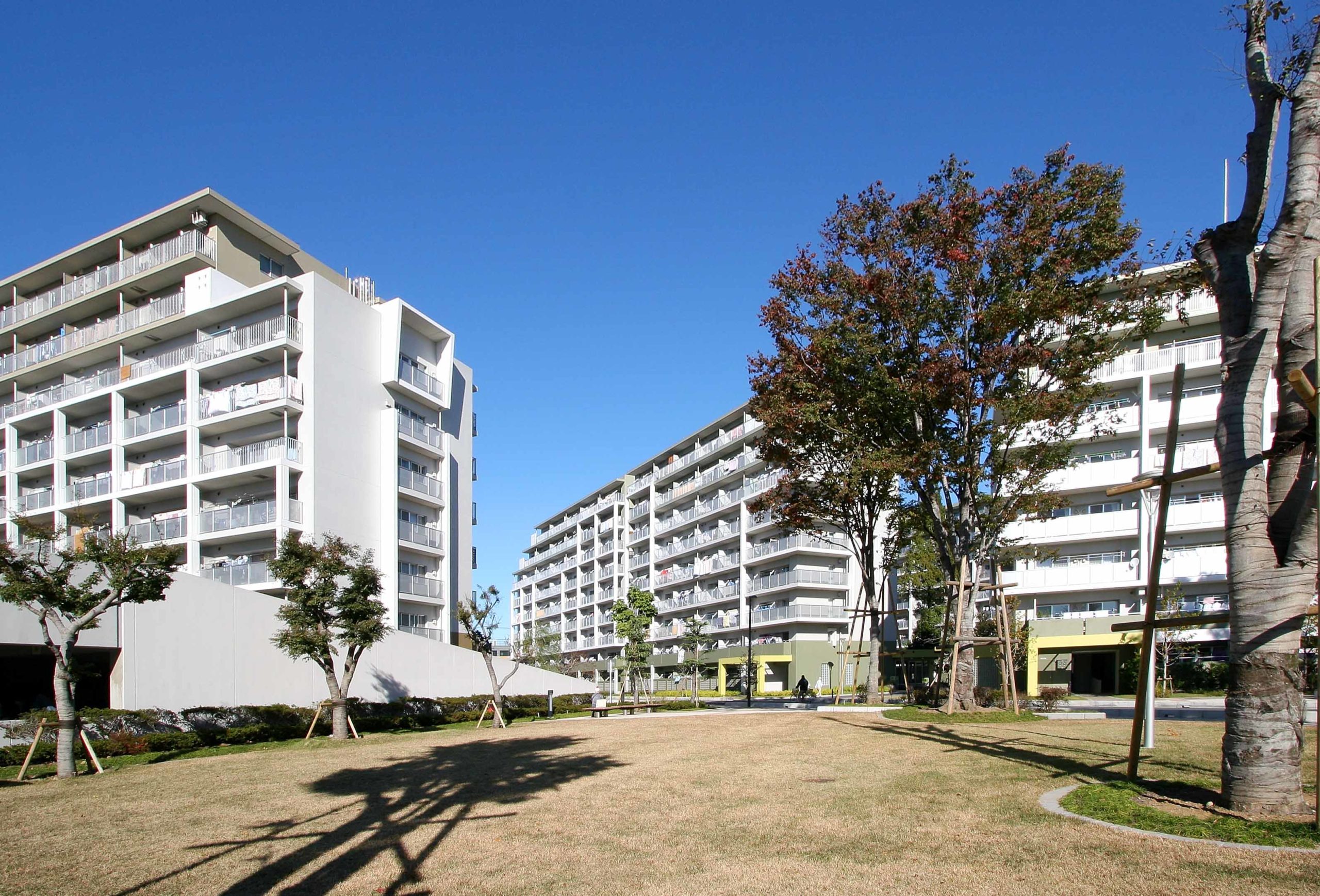 上野台団地再生
